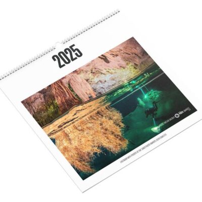 SPA 2025 calendar